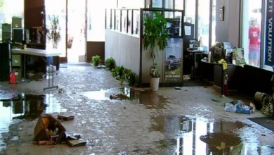 The Timeline of Water Damage Mitigation: What Contractors Handle First