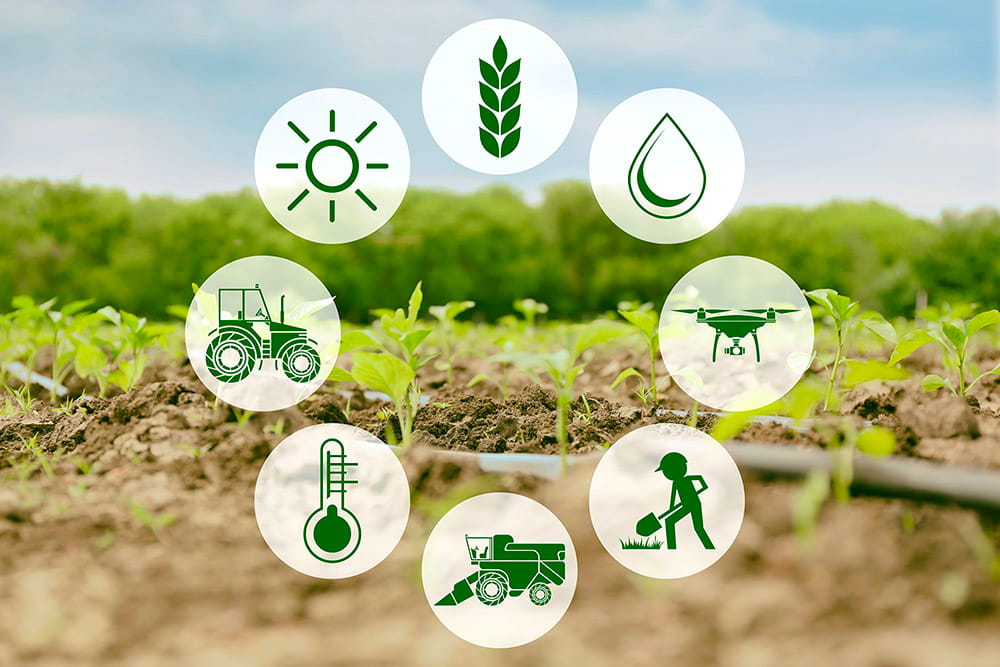 Insuring the Future Risk Management for Smart Farms and IoT in Agriculture