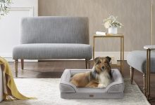 How to Select Pet-Friendly Furniture for Rocklin Households