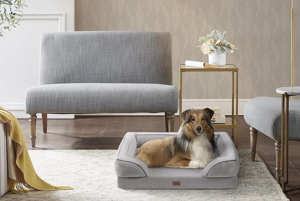 How to Select Pet-Friendly Furniture for Rocklin Households