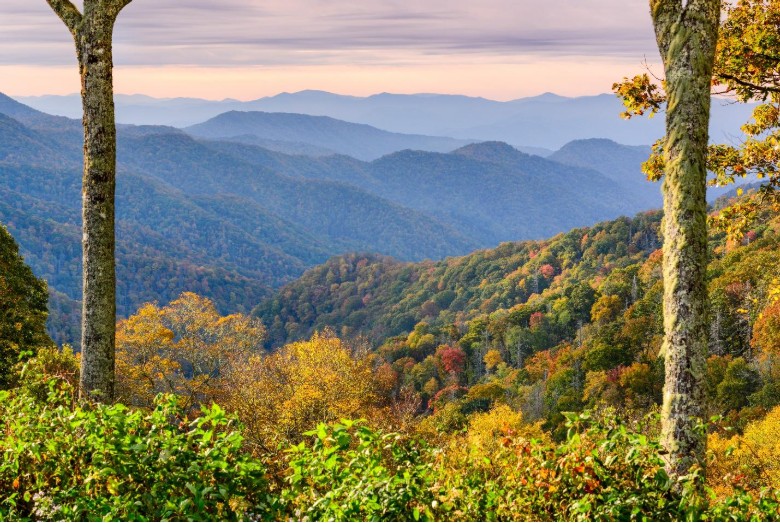 Planning the Ultimate American Road Trip Through Rugged Terrain